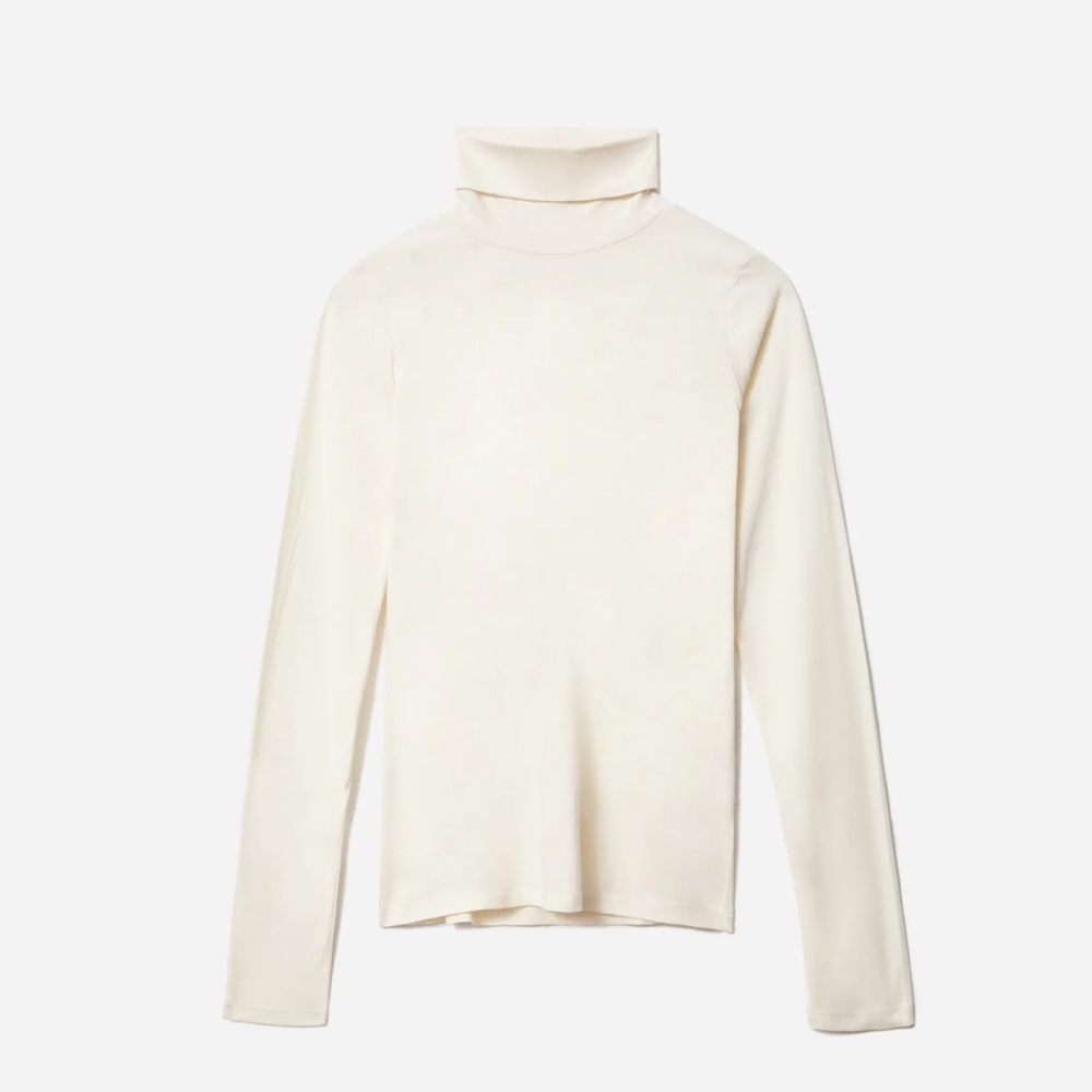 Everlane organic cotton turtleneck